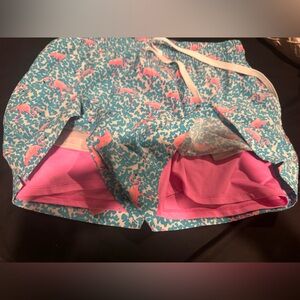 Chubbies Pink and Blue Swim Trunks